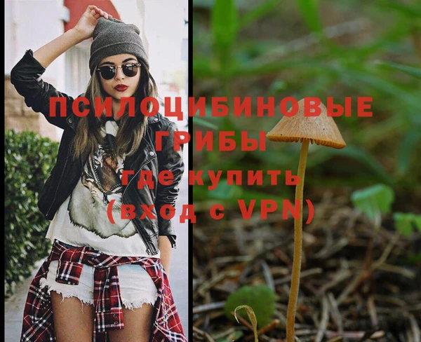 гашик Лиски